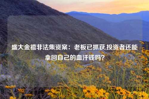 盛大金禧非法集资案：老板已抓获,投资者还能拿回自己的血汗钱吗？