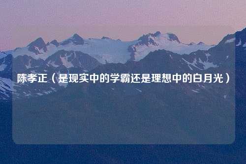 陈孝正（是现实中的学霸还是理想中的白月光）