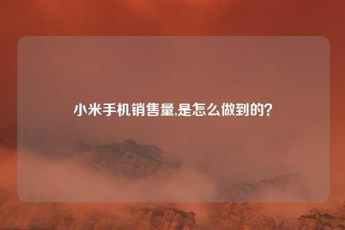 小米手机销售量,是怎么做到的？