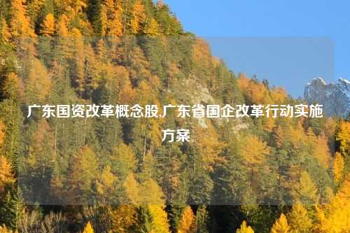 广东国资改革概念股,广东省国企改革行动实施方案