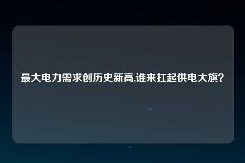 最大电力需求创历史新高,谁来扛起供电大旗？