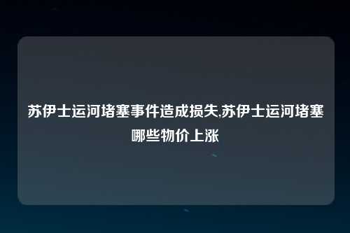 苏伊士运河堵塞事件造成损失,苏伊士运河堵塞哪些物价上涨