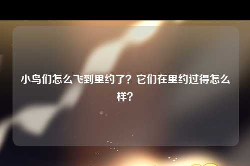 小鸟们怎么飞到里约了？它们在里约过得怎么样？
