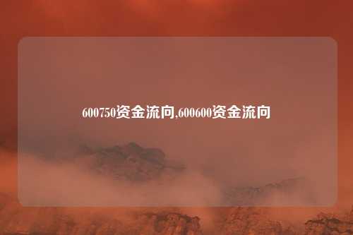 600750资金流向,600600资金流向