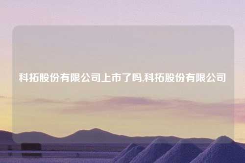 科拓股份有限公司上市了吗,科拓股份有限公司