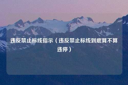 违反禁止标线指示（违反禁止标线到底算不算违停）
