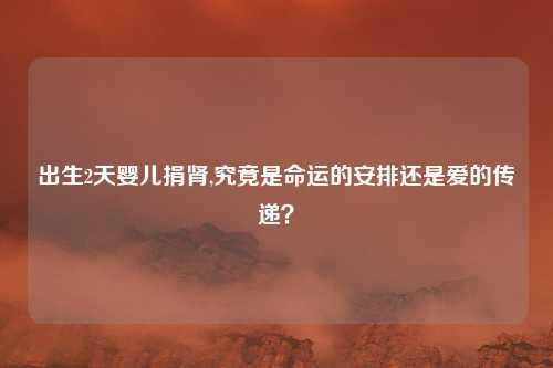 出生2天婴儿捐肾,究竟是命运的安排还是爱的传递？