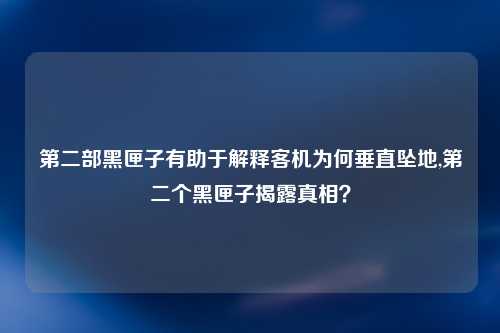第二部黑匣子有助于解释客机为何垂直坠地,第二个黑匣子揭露真相？