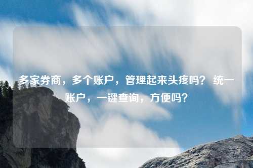 多家券商，多个账户，管理起来头疼吗？ 统一账户，一键查询，方便吗？