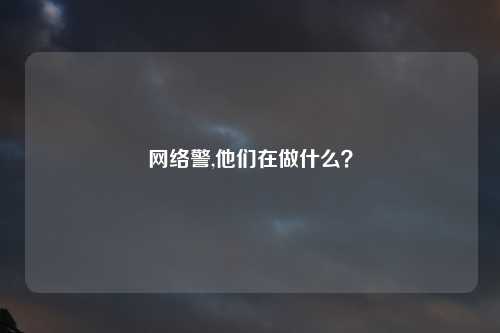网络警,他们在做什么？