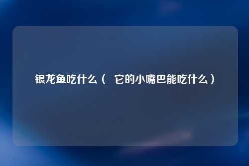 银龙鱼吃什么（  它的小嘴巴能吃什么）