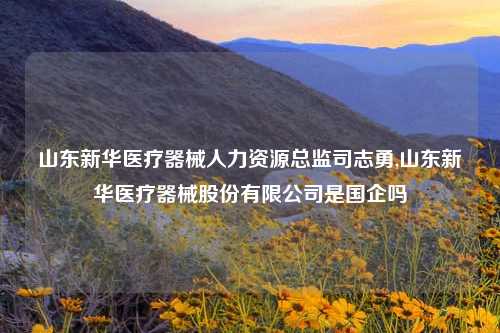 山东新华医疗器械人力资源总监司志勇,山东新华医疗器械股份有限公司是国企吗