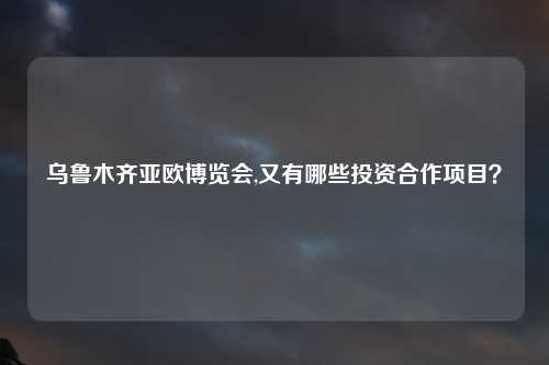 乌鲁木齐亚欧博览会,又有哪些投资合作项目？