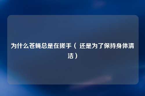 为什么苍蝇总是在搓手（ 还是为了保持身体清洁）
