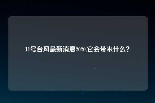 11号台风最新消息2020,它会带来什么？