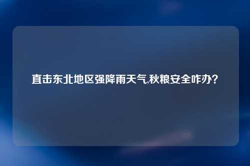 直击东北地区强降雨天气,秋粮安全咋办？