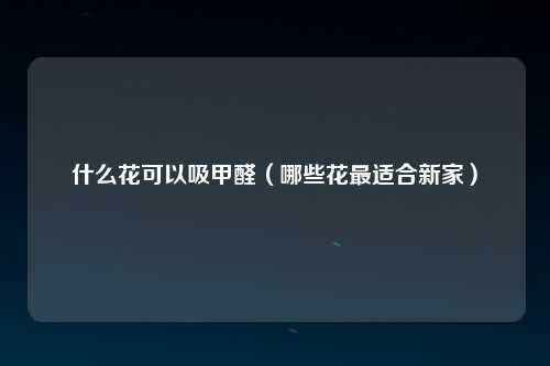 什么花可以吸甲醛（哪些花最适合新家）