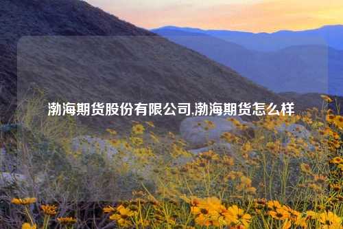 渤海期货股份有限公司,渤海期货怎么样