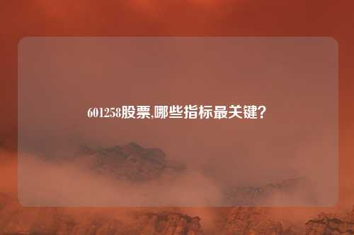 601258股票,哪些指标最关键？