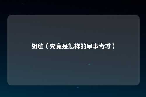 胡琏（究竟是怎样的军事奇才）