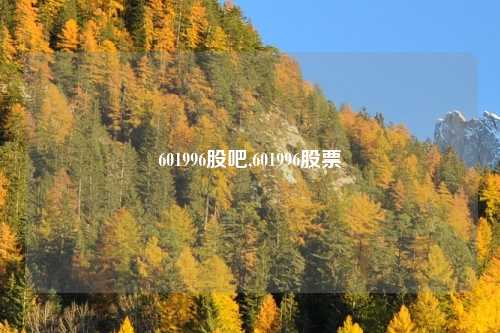 601996股吧,601996股票