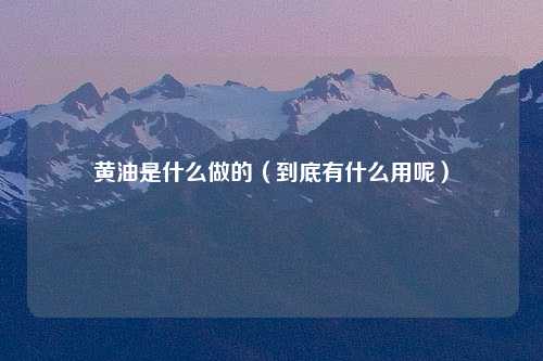 黄油是什么做的（到底有什么用呢）