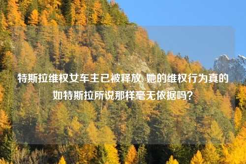 特斯拉维权女车主已被释放, 她的维权行为真的如特斯拉所说那样毫无依据吗？