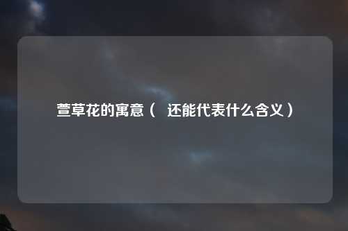 萱草花的寓意（  还能代表什么含义）