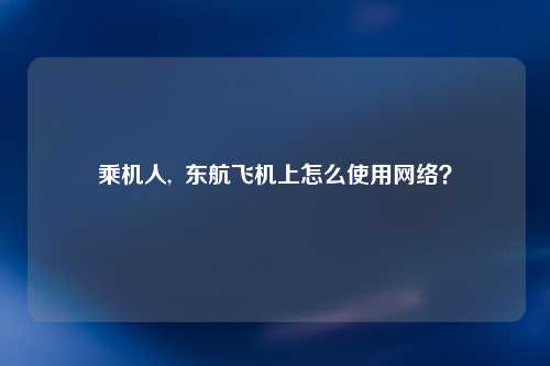 乘机人,  东航飞机上怎么使用网络？