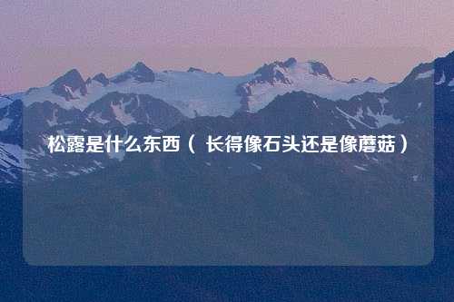 松露是什么东西（ 长得像石头还是像蘑菇）