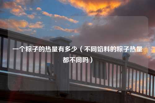 一个粽子的热量有多少（不同馅料的粽子热量都不同吗）