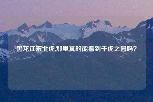 黑龙江东北虎,那里真的能看到千虎之园吗？