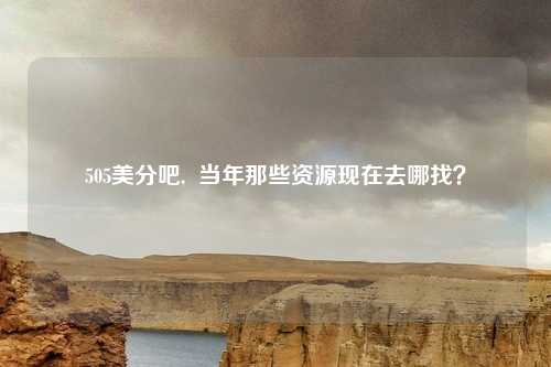 505美分吧,  当年那些资源现在去哪找？
