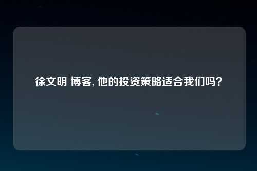 徐文明 博客, 他的投资策略适合我们吗？