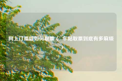 网上订票后如何取票（  车站取票到底有多麻烦）