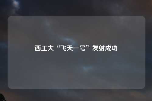 西工大“飞天一号”发射成功