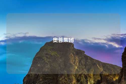 奥普集团