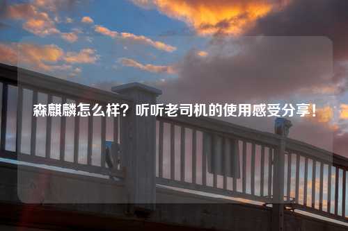 森麒麟怎么样？听听老司机的使用感受分享！