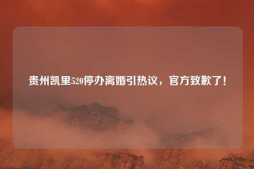 贵州凯里520停办离婚引热议，官方致歉了！