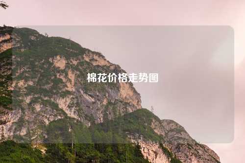 棉花价格走势图