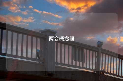 两会概念股