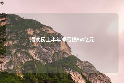 海底捞上半年净亏损9.65亿元