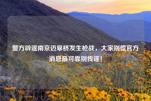 警方辟谣南京迈皋桥发生枪战，大家别慌官方消息最可靠别传谣！