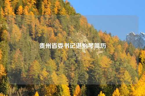 贵州省委书记谌怡琴简历