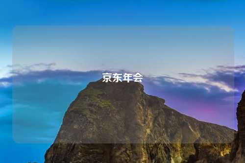 京东年会