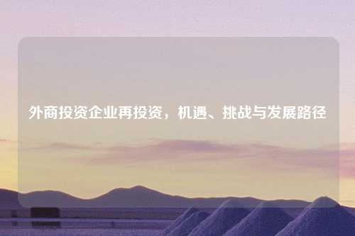 外商投资企业再投资，机遇、挑战与发展路径