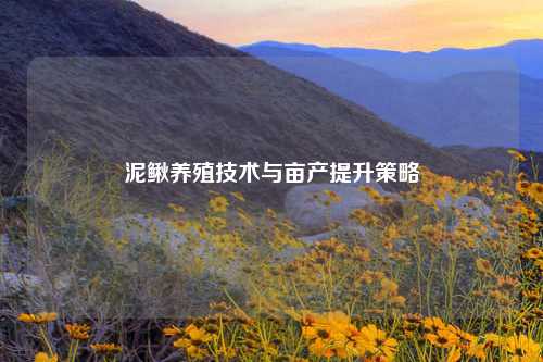 泥鳅养殖技术与亩产提升策略