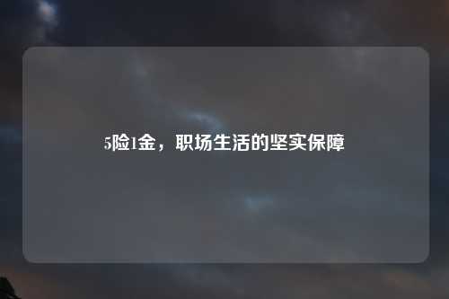 5险1金，职场生活的坚实保障