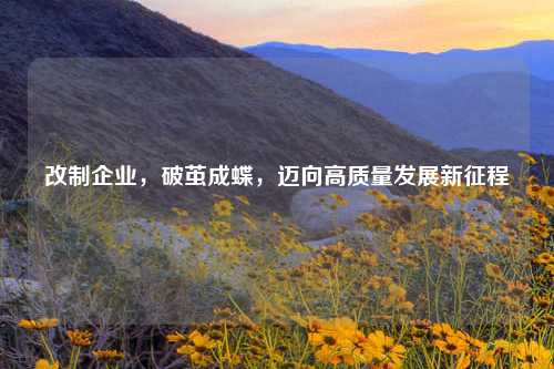 改制企业，破茧成蝶，迈向高质量发展新征程
