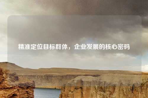 精准定位目标群体，企业发展的核心密码